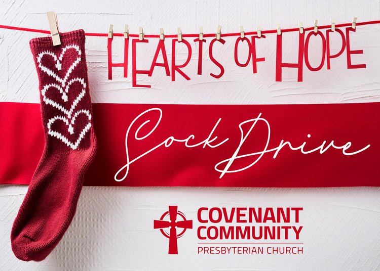 Hearts+of+Hope+Sock+Drive